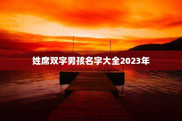 姓席双字男孩名字大全2023年