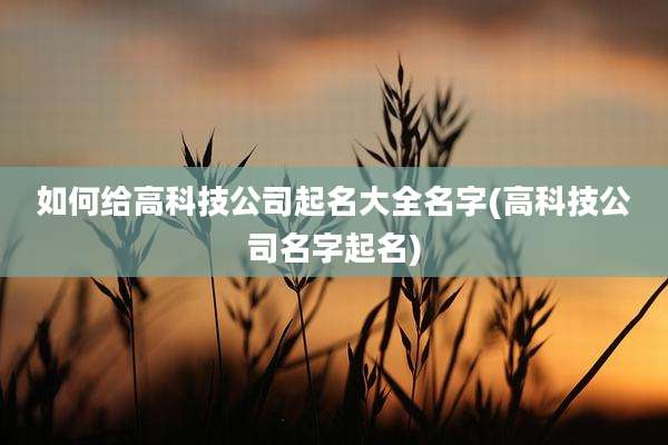 如何给高科技公司起名大全名字(高科技公司名字起名)