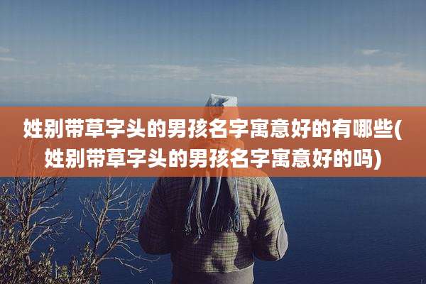 姓别带草字头的男孩名字寓意好的有哪些(姓别带草字头的男孩名字寓意好的吗)