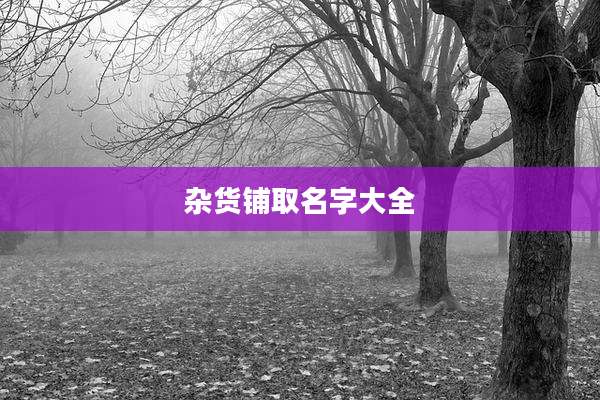 杂货铺取名字大全