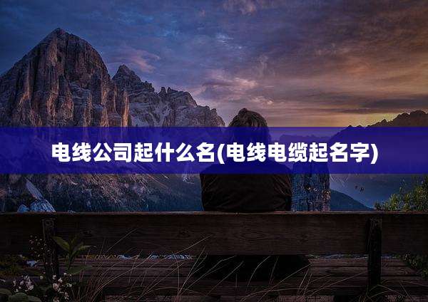 电线公司起什么名(电线电缆起名字)