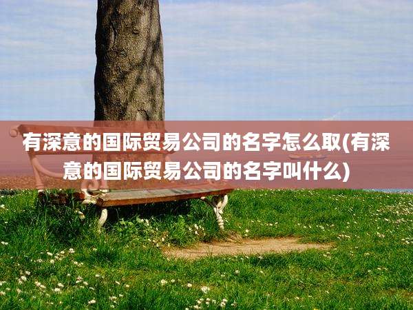 有深意的国际贸易公司的名字怎么取(有深意的国际贸易公司的名字叫什么)