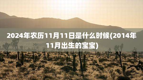 2024年农历11月11日是什么时候(2014年11月出生的宝宝)