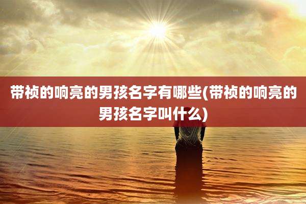 带祯的响亮的男孩名字有哪些(带祯的响亮的男孩名字叫什么)