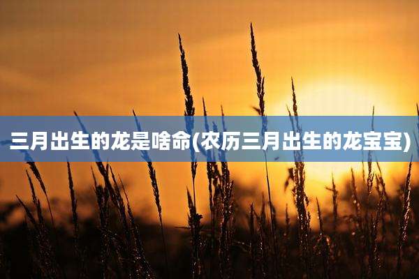 三月出生的龙是啥命(农历三月出生的龙宝宝)
