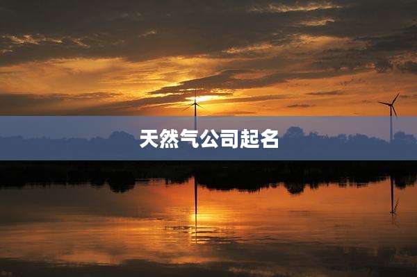 天然气公司起名