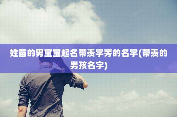 姓苗的男宝宝起名带羡字旁的名字(带羡的男孩名字)
