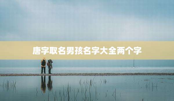 唐字取名男孩名字大全两个字