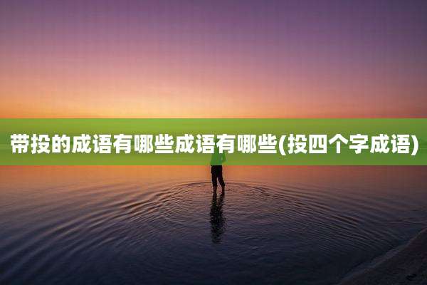 带投的成语有哪些成语有哪些(投四个字成语)