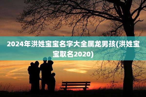 2024年洪姓宝宝名字大全属龙男孩(洪姓宝宝取名2020)