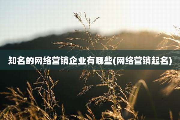 知名的网络营销企业有哪些(网络营销起名)