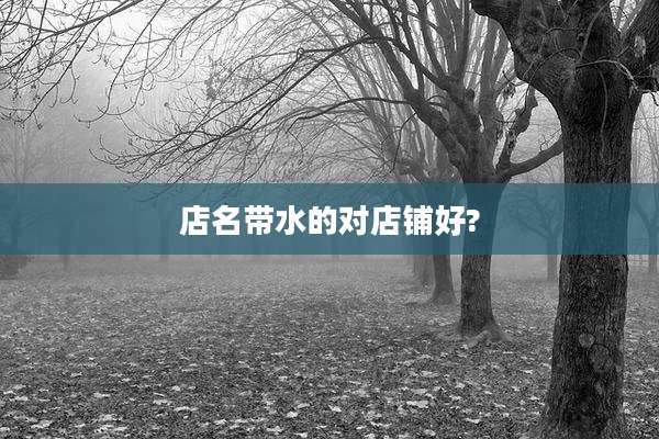 店名带水的对店铺好?