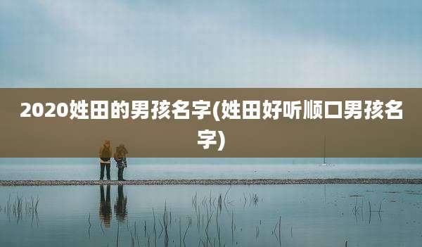 2020姓田的男孩名字(姓田好听顺口男孩名字)