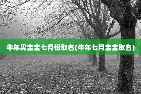 牛年男宝宝七月份取名(牛年七月宝宝取名)