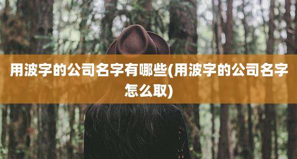用波字的公司名字有哪些(用波字的公司名字怎么取)