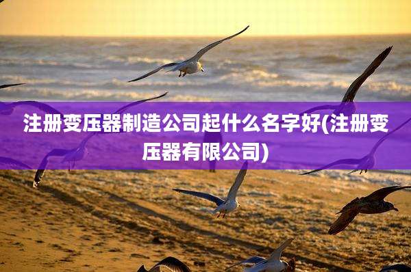 注册变压器制造公司起什么名字好(注册变压器有限公司)