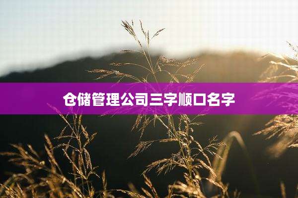 仓储管理公司三字顺口名字