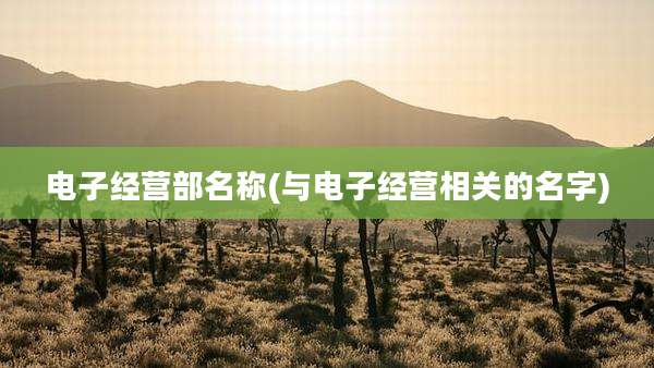 电子经营部名称(与电子经营相关的名字)