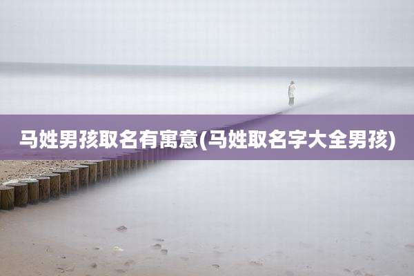 马姓男孩取名有寓意(马姓取名字大全男孩)
