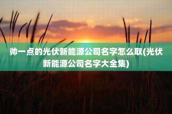 帅一点的光伏新能源公司名字怎么取(光伏新能源公司名字大全集)