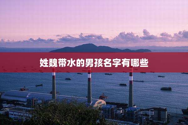 姓魏带水的男孩名字有哪些