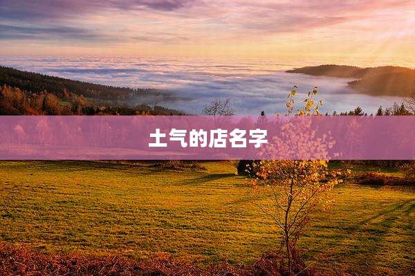 土气的店名字