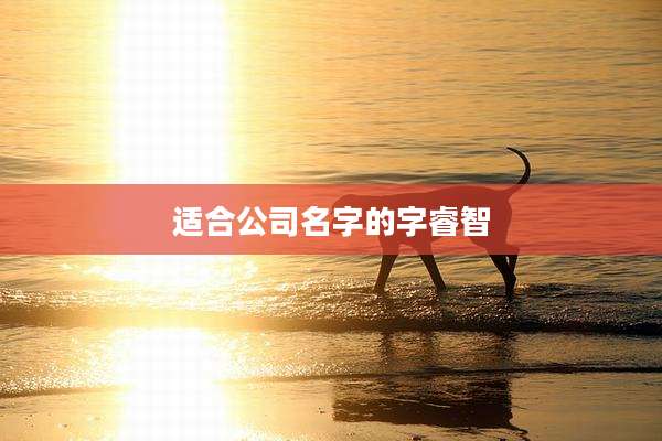 适合公司名字的字睿智