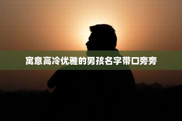 寓意高冷优雅的男孩名字带口旁旁