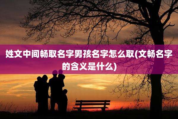 姓文中间畅取名字男孩名字怎么取(文畅名字的含义是什么)