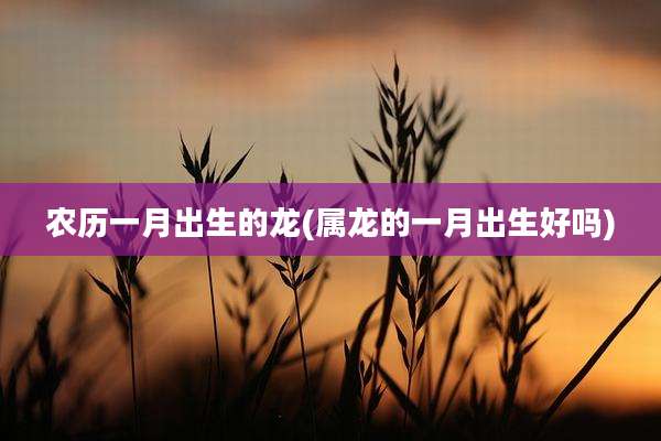 农历一月出生的龙(属龙的一月出生好吗)