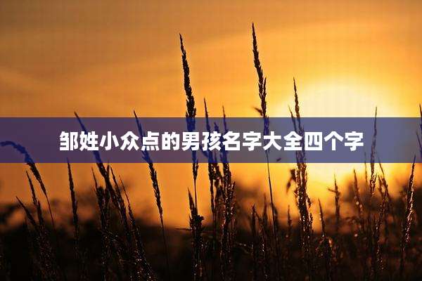 邹姓小众点的男孩名字大全四个字