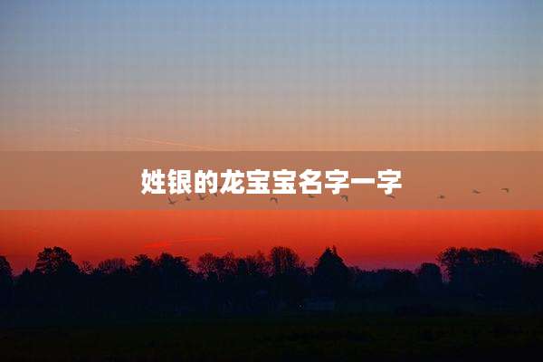 姓银的龙宝宝名字一字