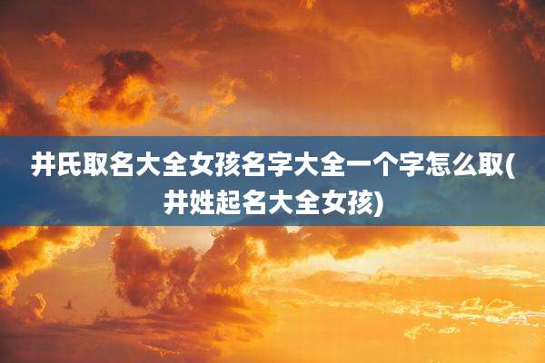 井氏取名大全女孩名字大全一个字怎么取(井姓起名大全女孩)