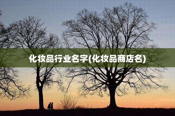 化妆品行业名字(化妆品商店名)