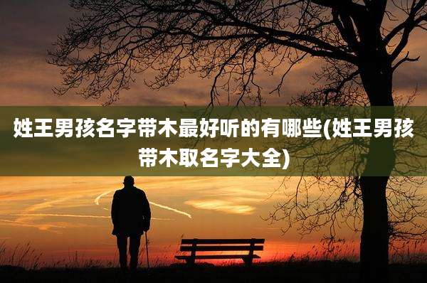姓王男孩名字带木最好听的有哪些(姓王男孩带木取名字大全)