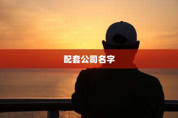 配套公司名字