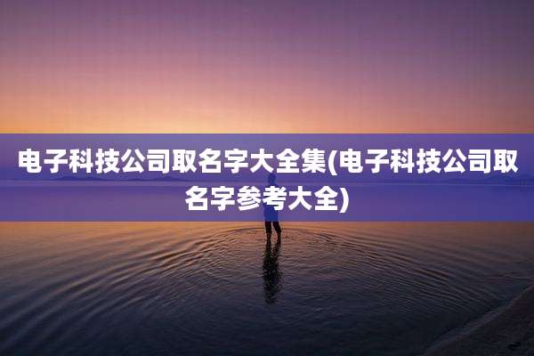 电子科技公司取名字大全集(电子科技公司取名字参考大全)