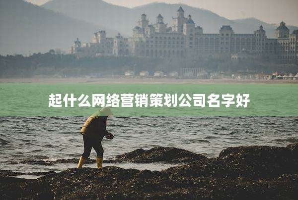 起什么网络营销策划公司名字好
