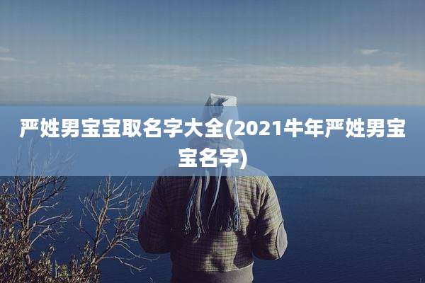 严姓男宝宝取名字大全(2021牛年严姓男宝宝名字)