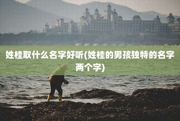 姓桂取什么名字好听(姓桂的男孩独特的名字两个字)