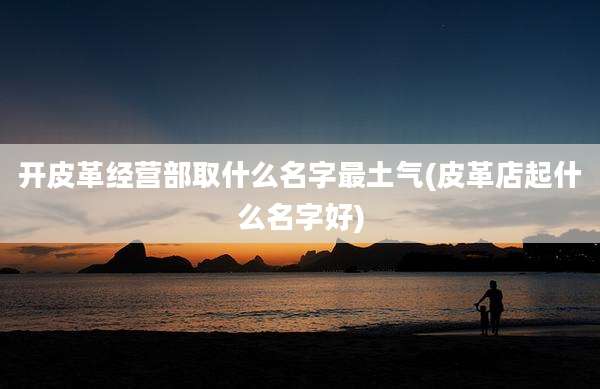 开皮革经营部取什么名字最土气(皮革店起什么名字好)