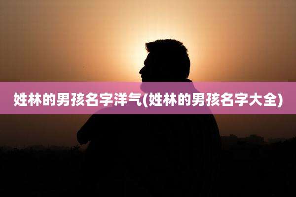 姓林的男孩名字洋气(姓林的男孩名字大全)