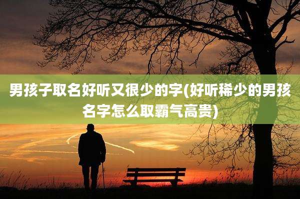 男孩子取名好听又很少的字(好听稀少的男孩名字怎么取霸气高贵)
