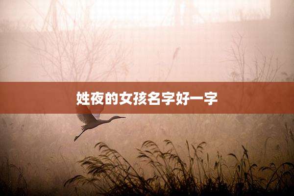 姓夜的女孩名字好一字