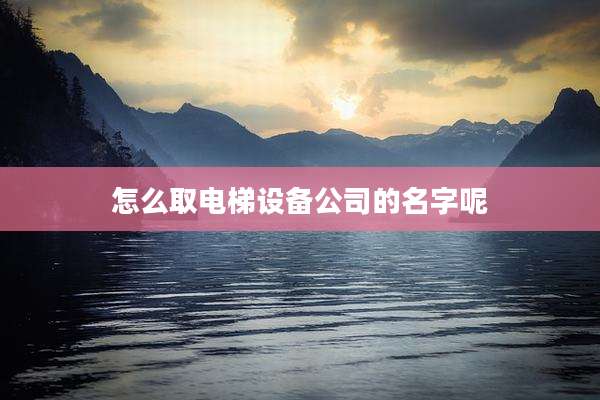 怎么取电梯设备公司的名字呢