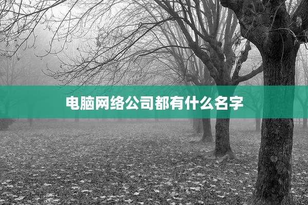 电脑网络公司都有什么名字