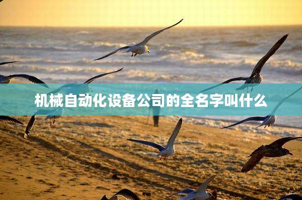机械自动化设备公司的全名字叫什么