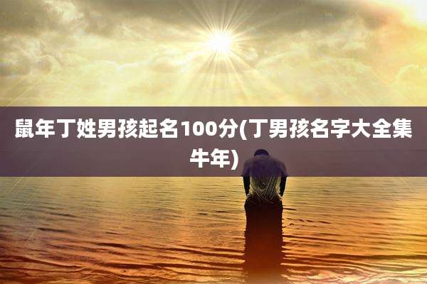 鼠年丁姓男孩起名100分(丁男孩名字大全集牛年)