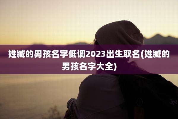 姓臧的男孩名字低调2023出生取名(姓臧的男孩名字大全)