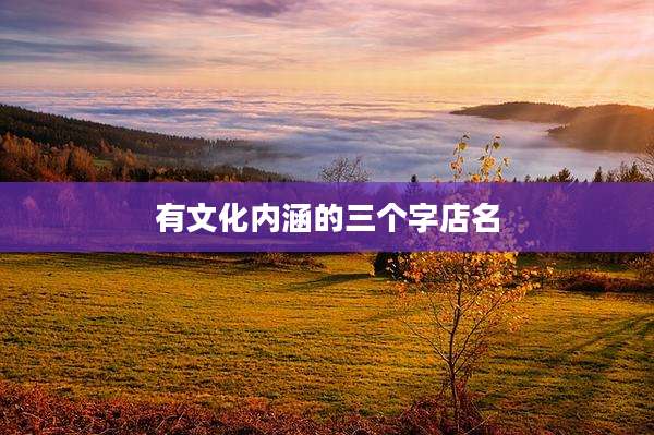 有文化内涵的三个字店名